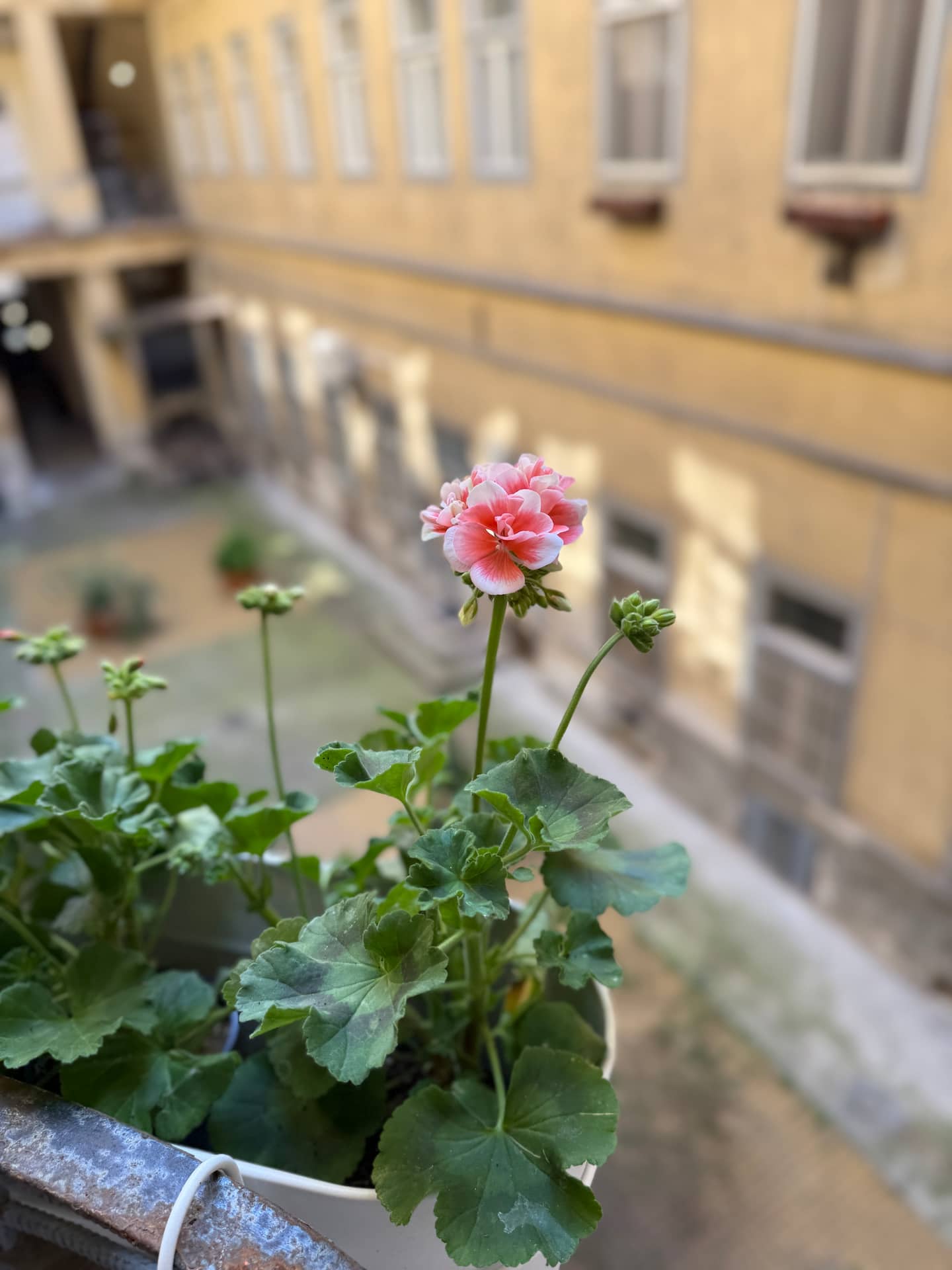 Small loft living room